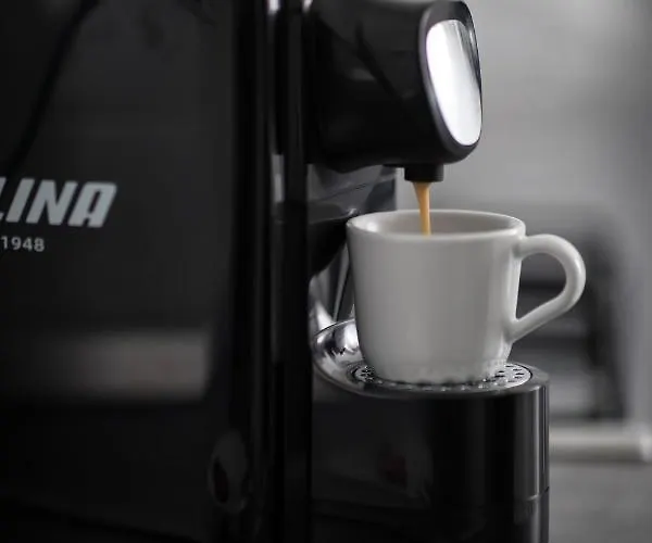 Lion's Unirii 아파트