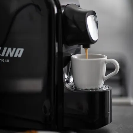 Lion's Unirii شقة