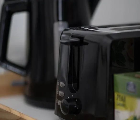 Lion's Unirii Apartmán